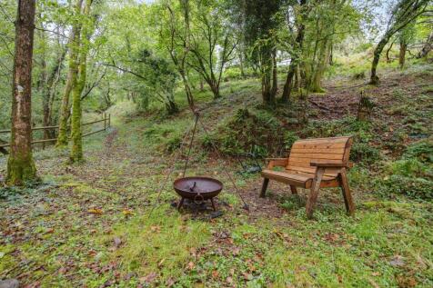 Woodland Area