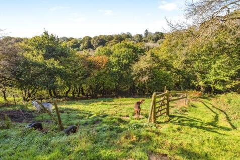 Small Paddock