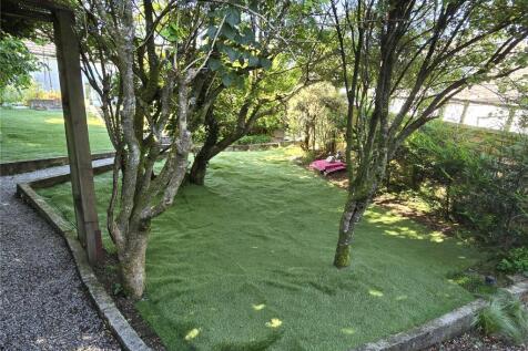 Back Garden