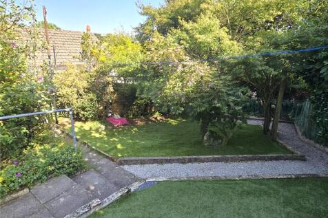 Back Garden