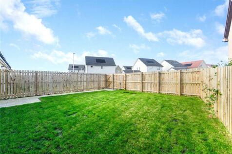 Back Garden