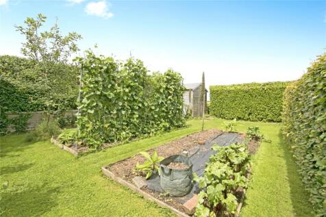 Vegetable Garden 1