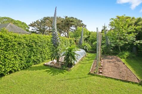 Side Garden