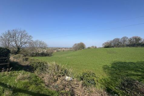 Field at end of road