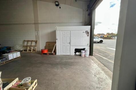 WhatsApp Image 20250915 at 121006_8293e1bd.jpg