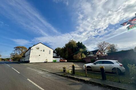 Chloe Side photo 2.JPEG