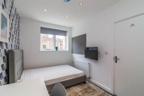 Flat 1 The Moog -...