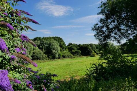Near By Green Fields