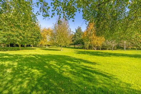 Grounds