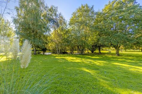 Grounds and Pond