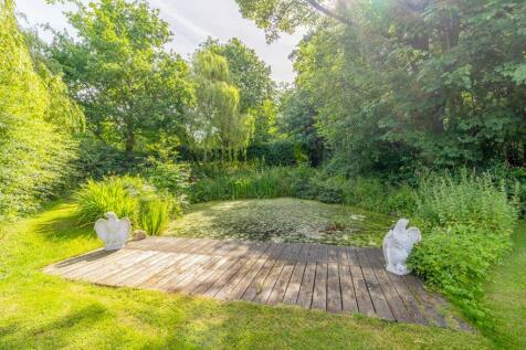 Pond