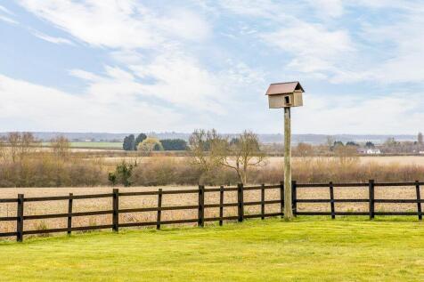 Open Field Views