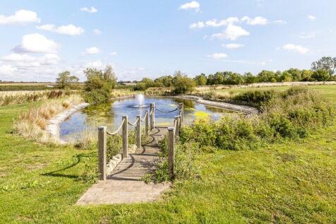 Pond