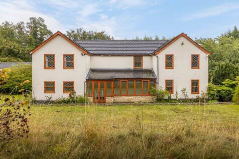 Rear Elevation
