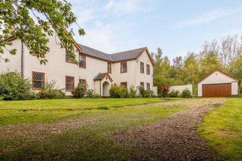 Front/Driveway