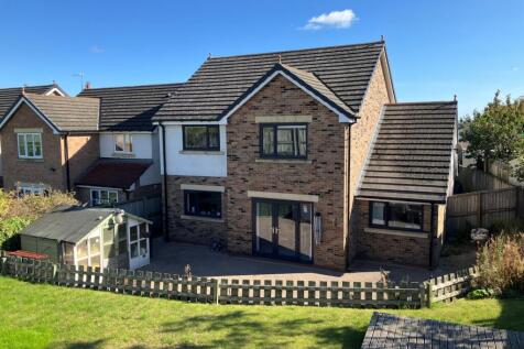 First Rear Garden Pic