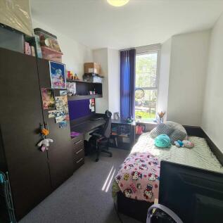 Main Picture