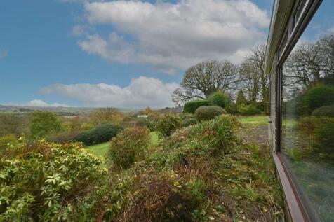 Upper rear garden.jpg