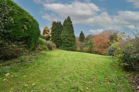 Lower garden .jpg