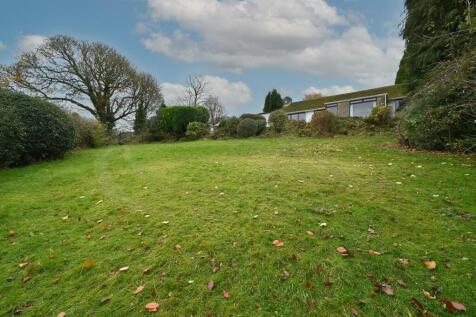 Lower garden towards home.jpg