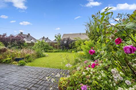 Rear Garden - lawn.jpg