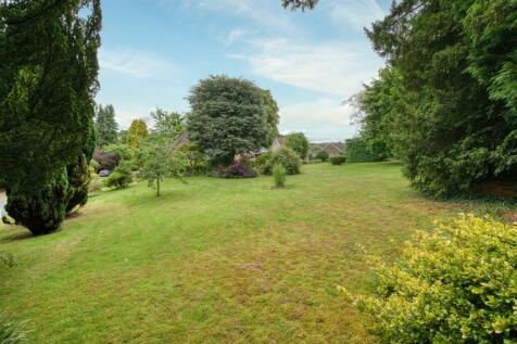 Rear Garden - lawn.jpg