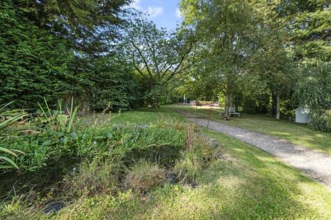 Pond and garden.jpg