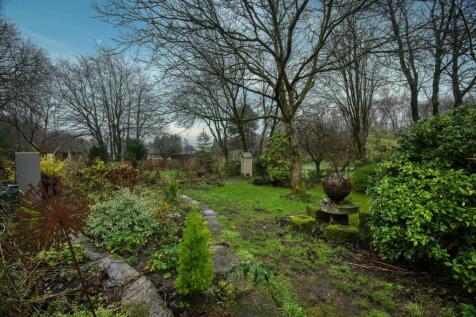 Garden  .jpg