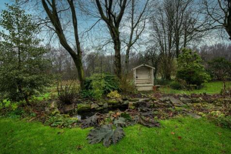 Garden - pond.jpg
