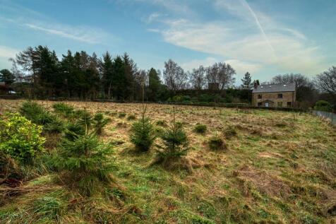 Orchard and Christmas Tree plantation.jpg