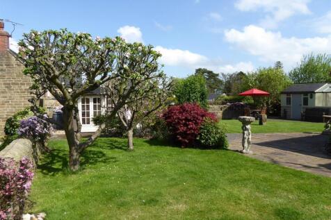 Rear Garden from shed and patio.jpg