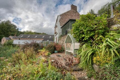 Garden from steps.jpg