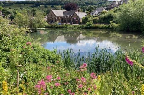 Flowers and millpond.jpg