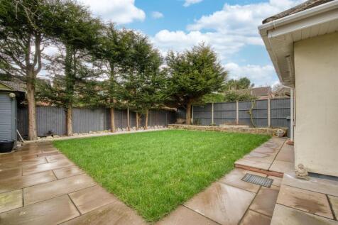 Rear Garden - lawn.jpg