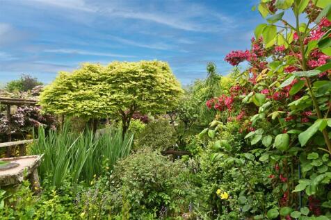 Garden from veranda.jpg