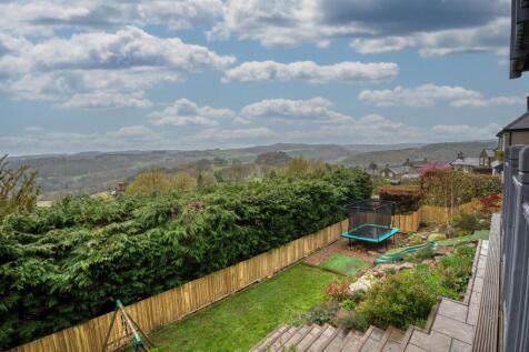 Rear Garden - lawns.jpg