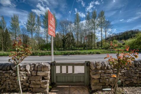 View from the front door.jpg