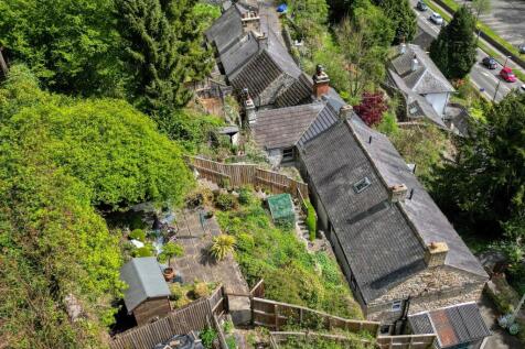 Drone - garden.jpg