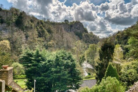 View from Garden.jpg