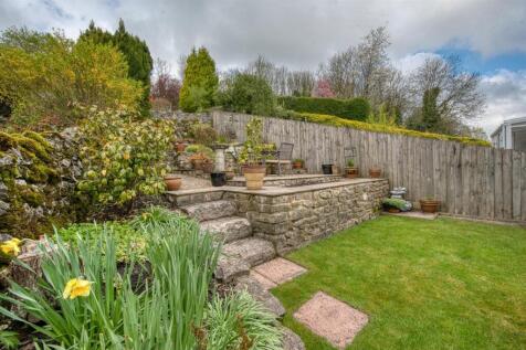 Garden - lawn  .jpg