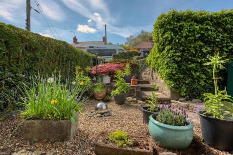 Front garden.jpg
