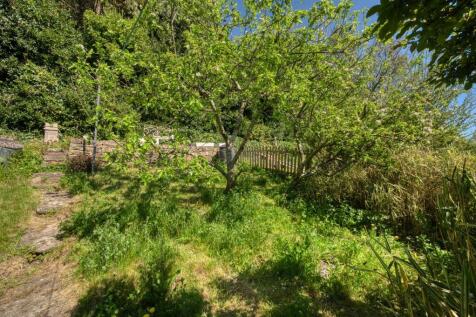 Rear Garden - apple trees.jpg