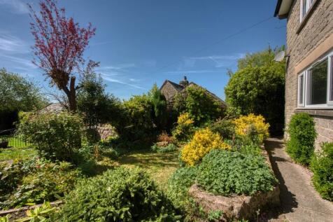 Front garden.jpg