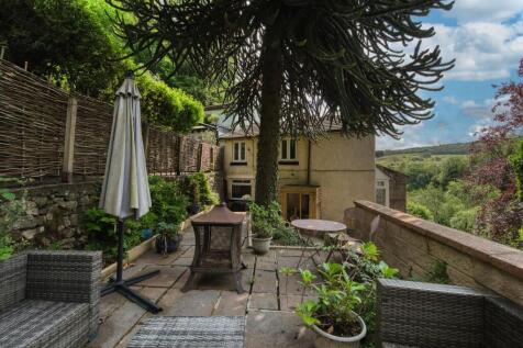 Upper dining patio and monkey puzzle tree.jpg