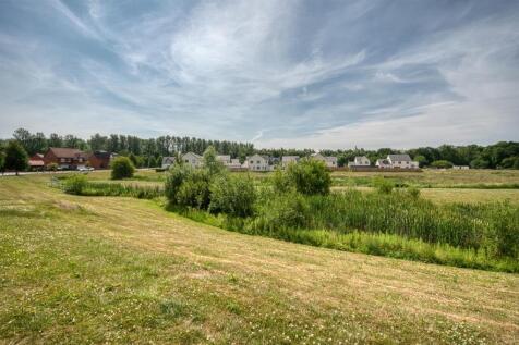Meadow opposite.jpg