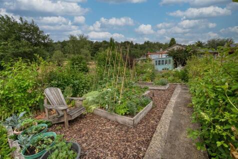 Rear Garden - raised beds and shed.jpg