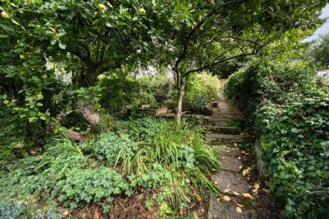 Rear Garden path.jpg