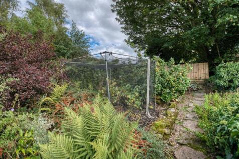 Rear Garden - fruit trees.jpg