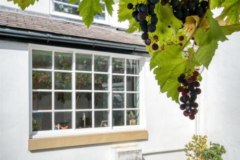 Grapes in the courtyard garden.jpg