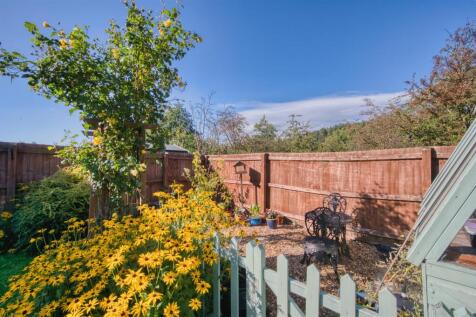 Rear Garden - flowers.jpg